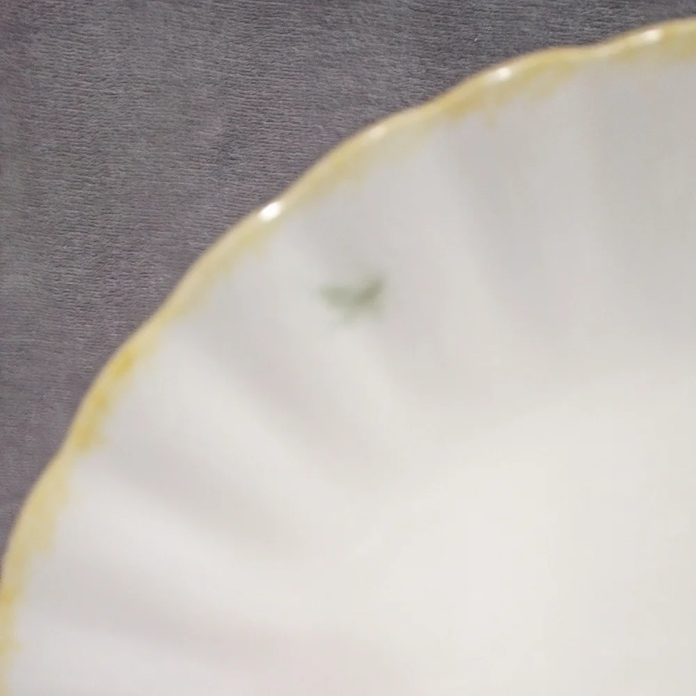 Pair Of Blue Ridge Southern Pottery Sun Bouquet Luncheon Plates